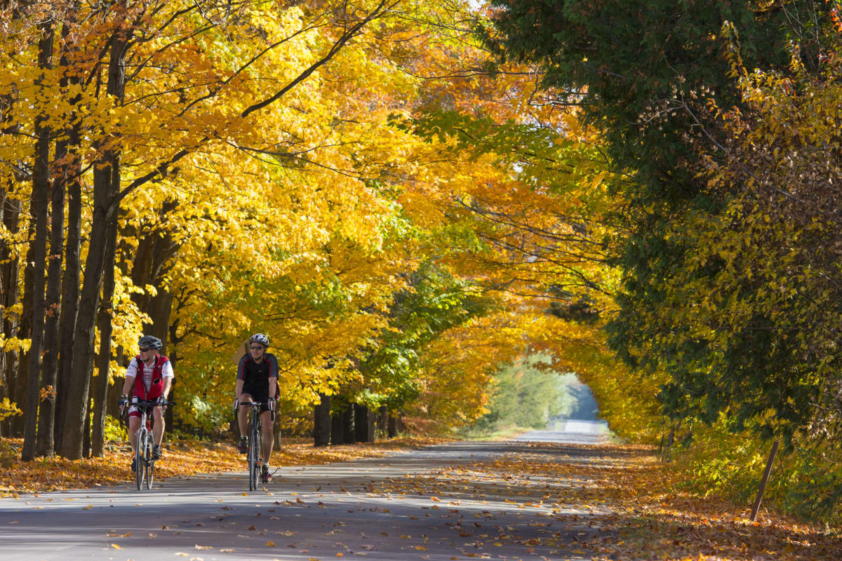 Deux cyclistes sur une route dans Brome-Missisquoi l'automne.