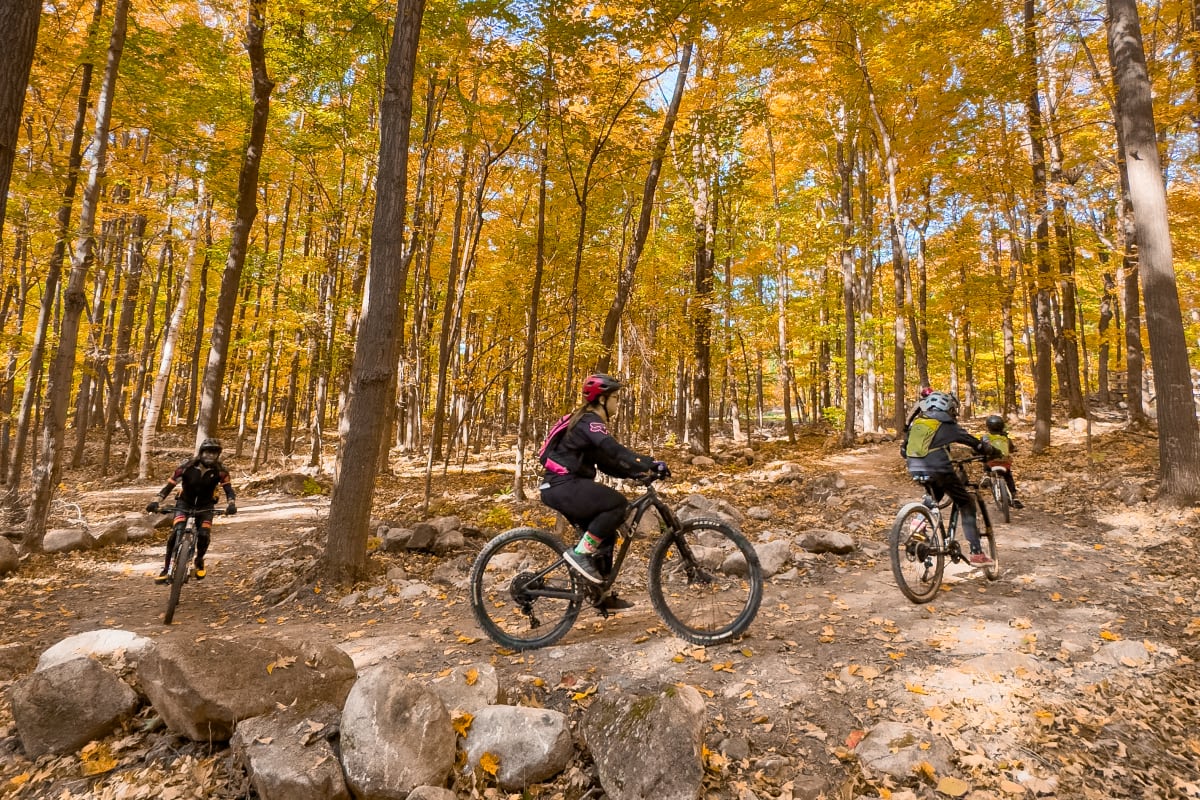 Vélo de montagne en automne au Mont-Rigaud