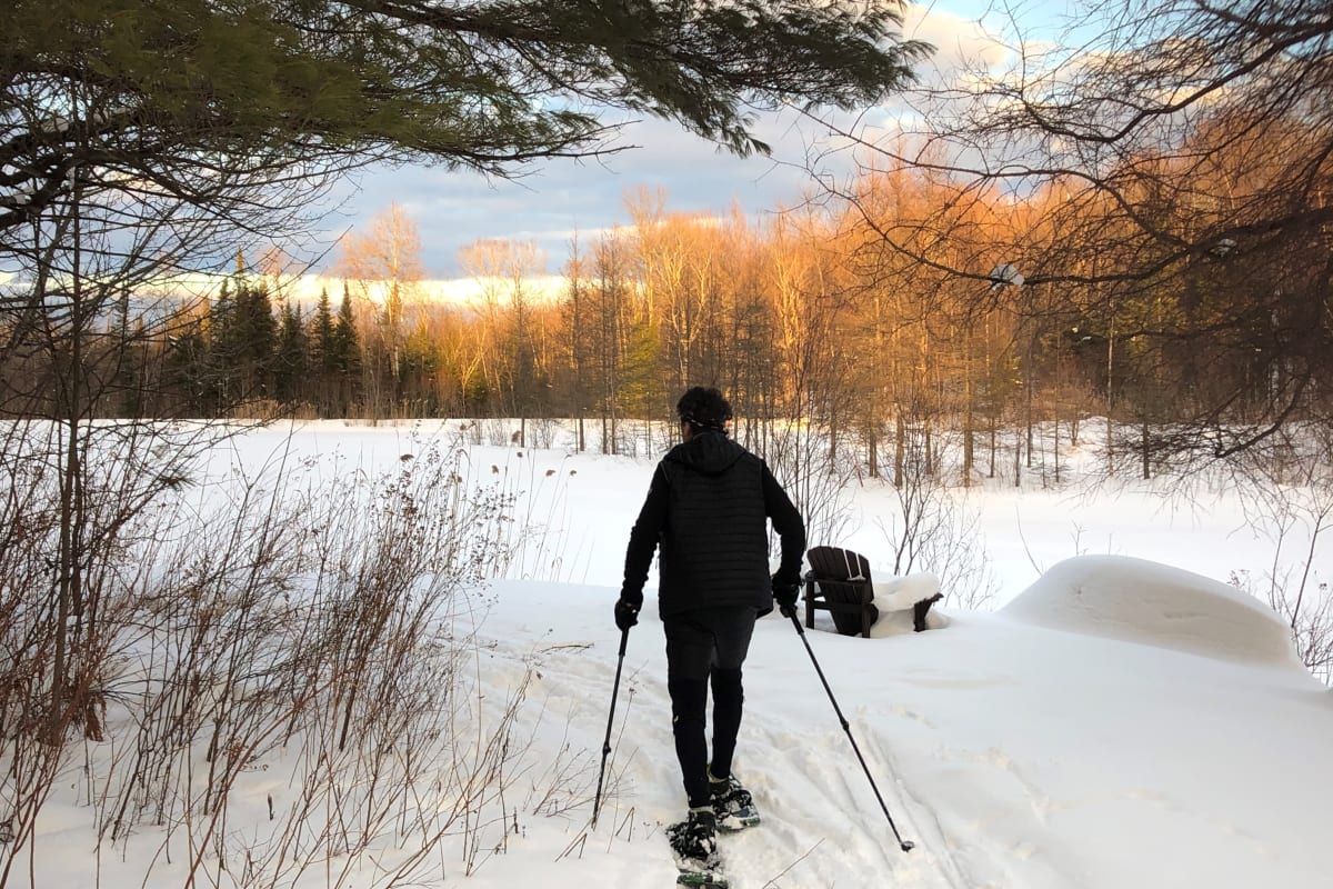 Un homme en raquette dans un paysage enneigé.