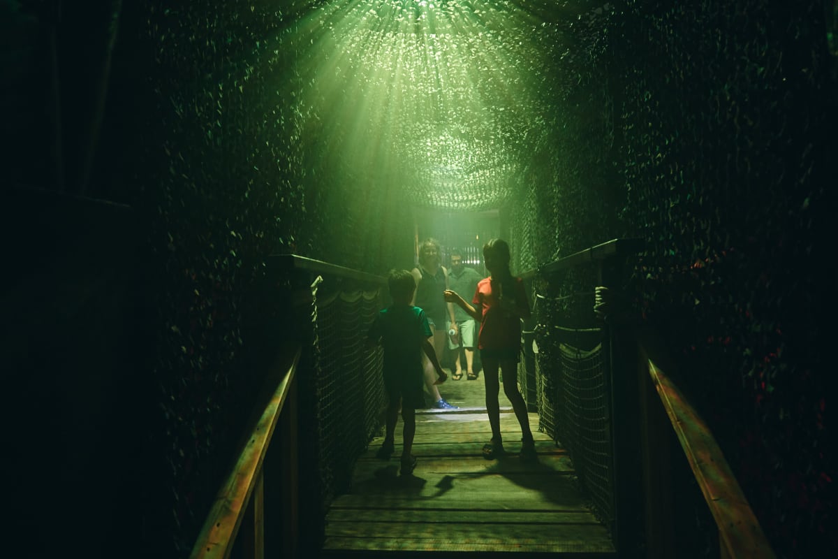 Kids in the maze at SOS Labyrinthe.Don't miss the chance to go through a Halloween maze at SOS Labyrinthe!