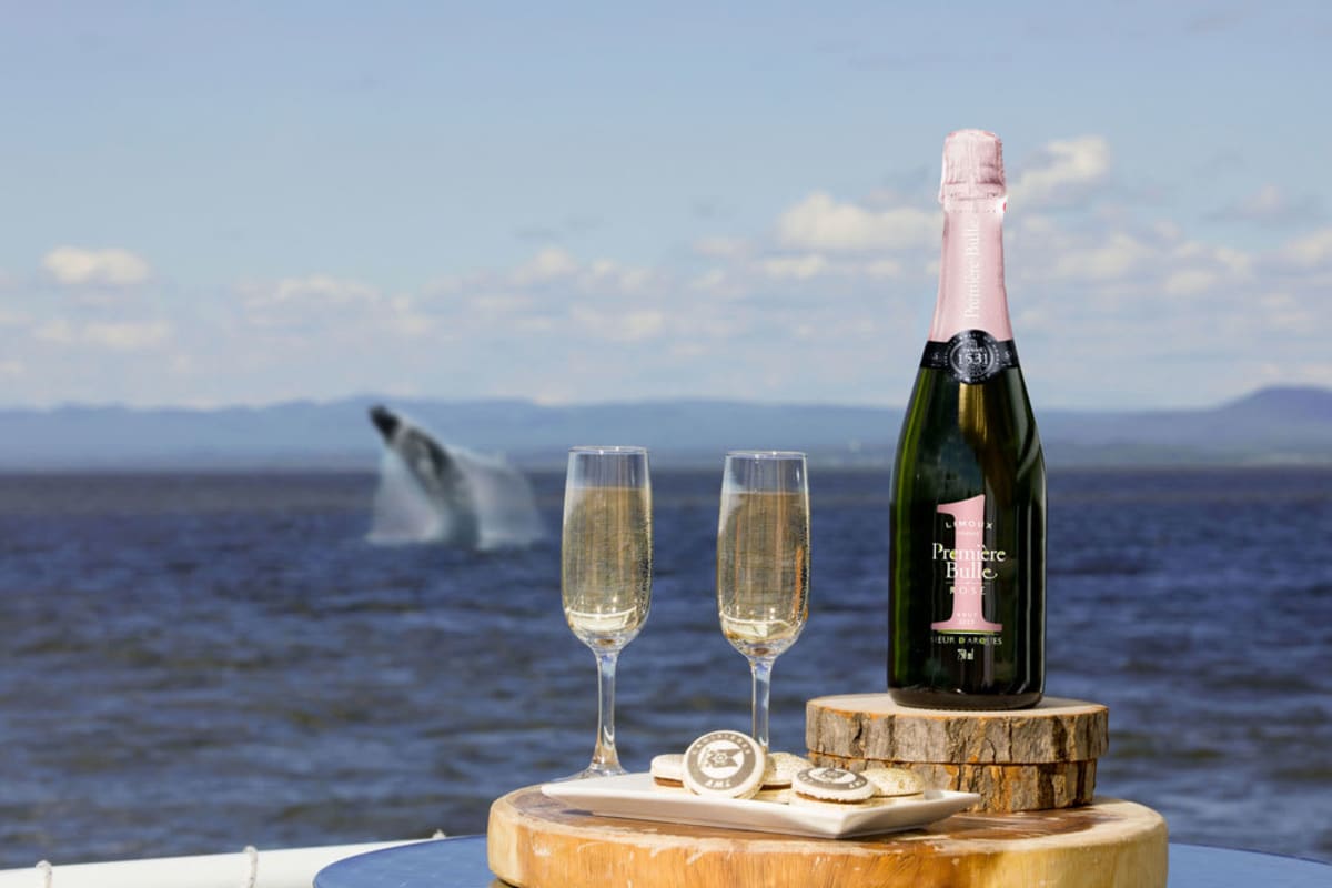 Bouteille de champagne et deux flutes remplies posées sur une table, avec une baleine qui émerge de l'eau en arrière-plan.