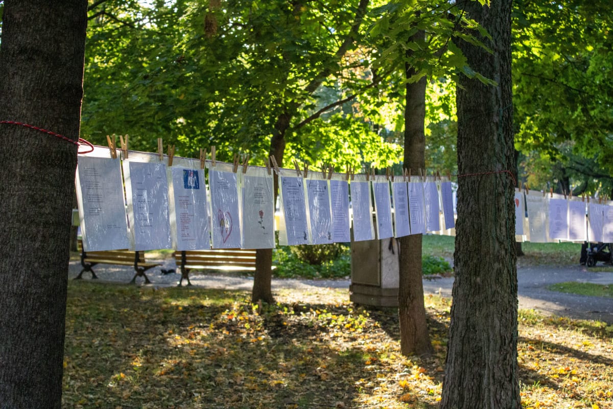 Feuilles sur une corde à linge