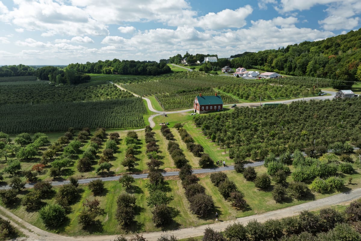 Vue aérienne d'une exploitation agricole avec vignes et arbres à fruits.