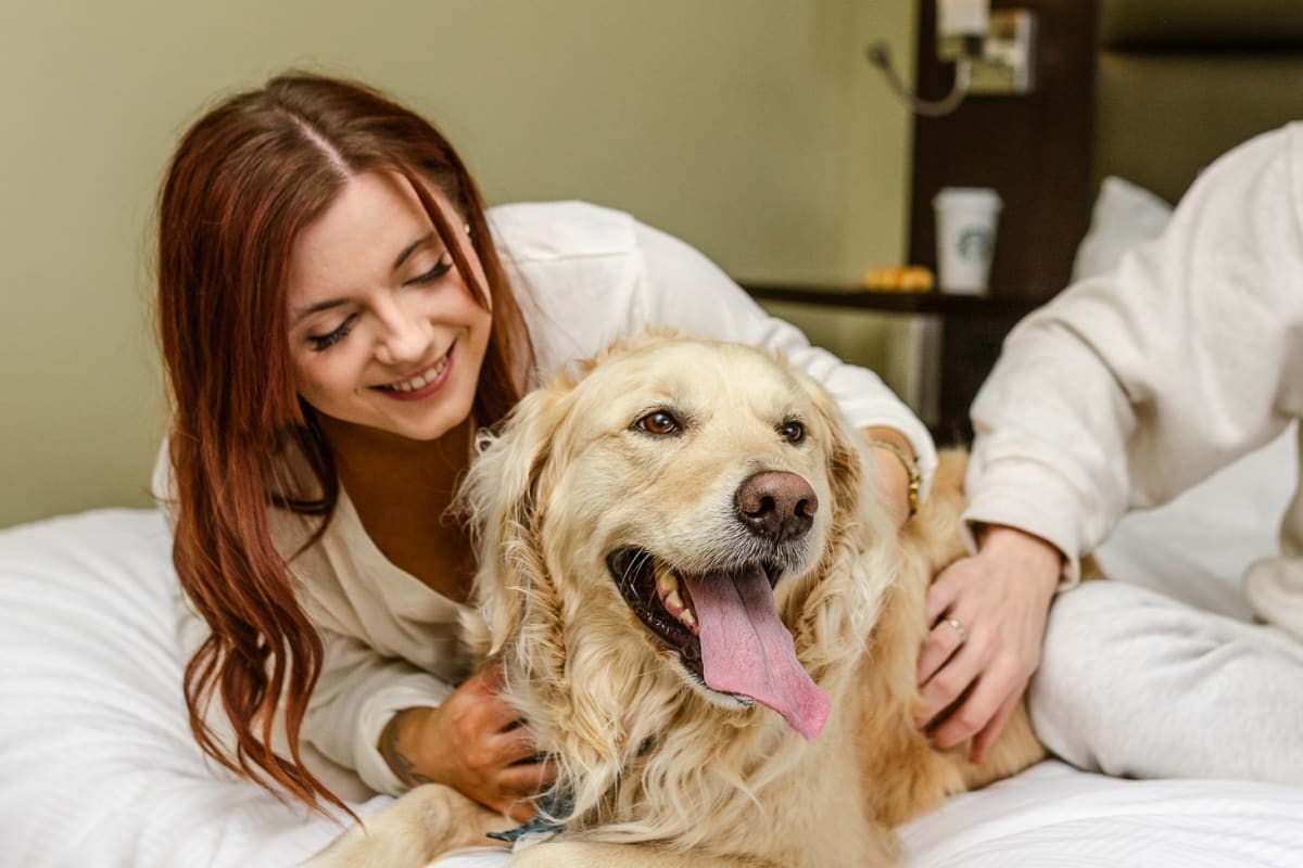 A woman with her dog on a bed at the Hôtel Levesque