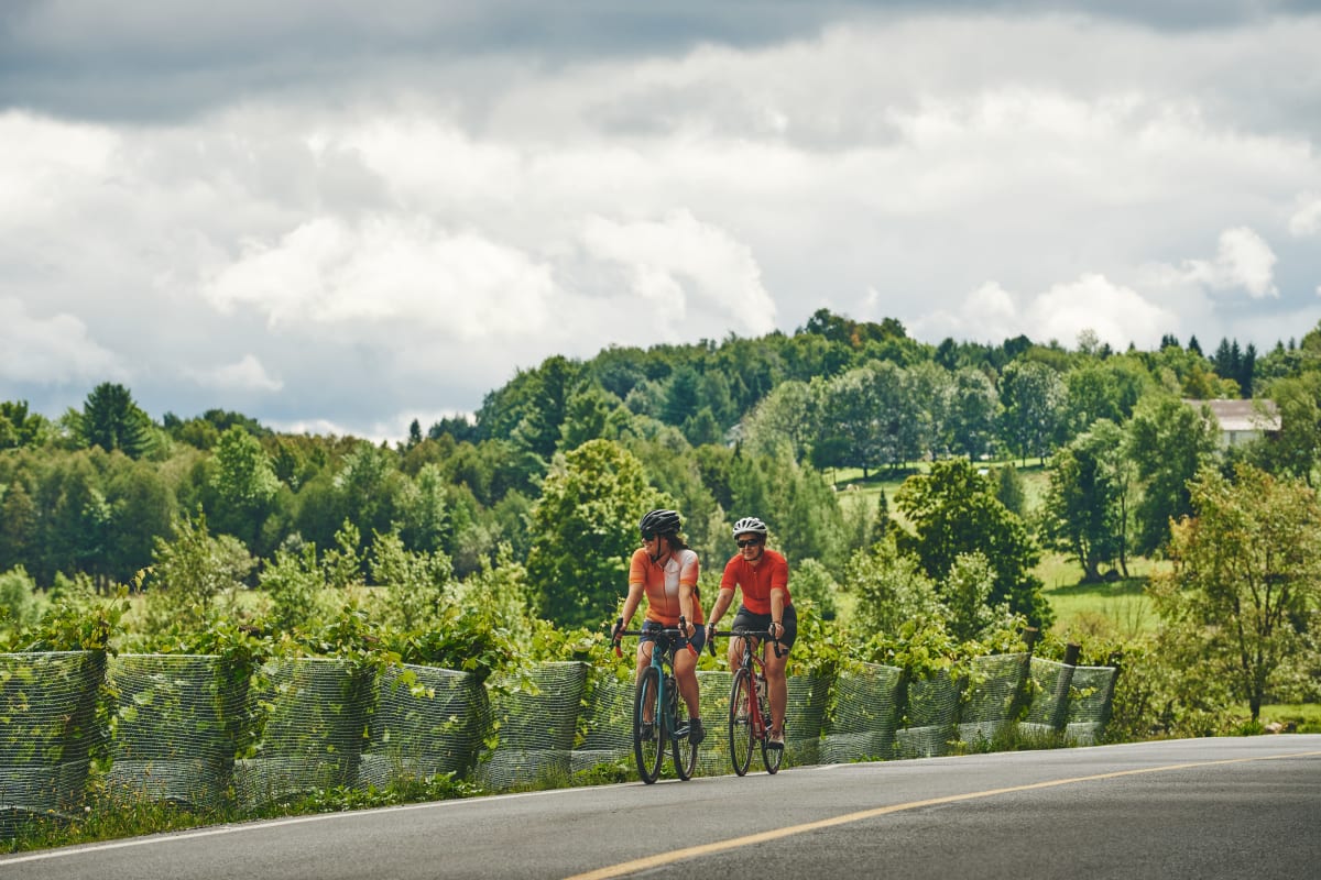 Deux personnes à vélo sur un route asphaltée bordée de vignes.