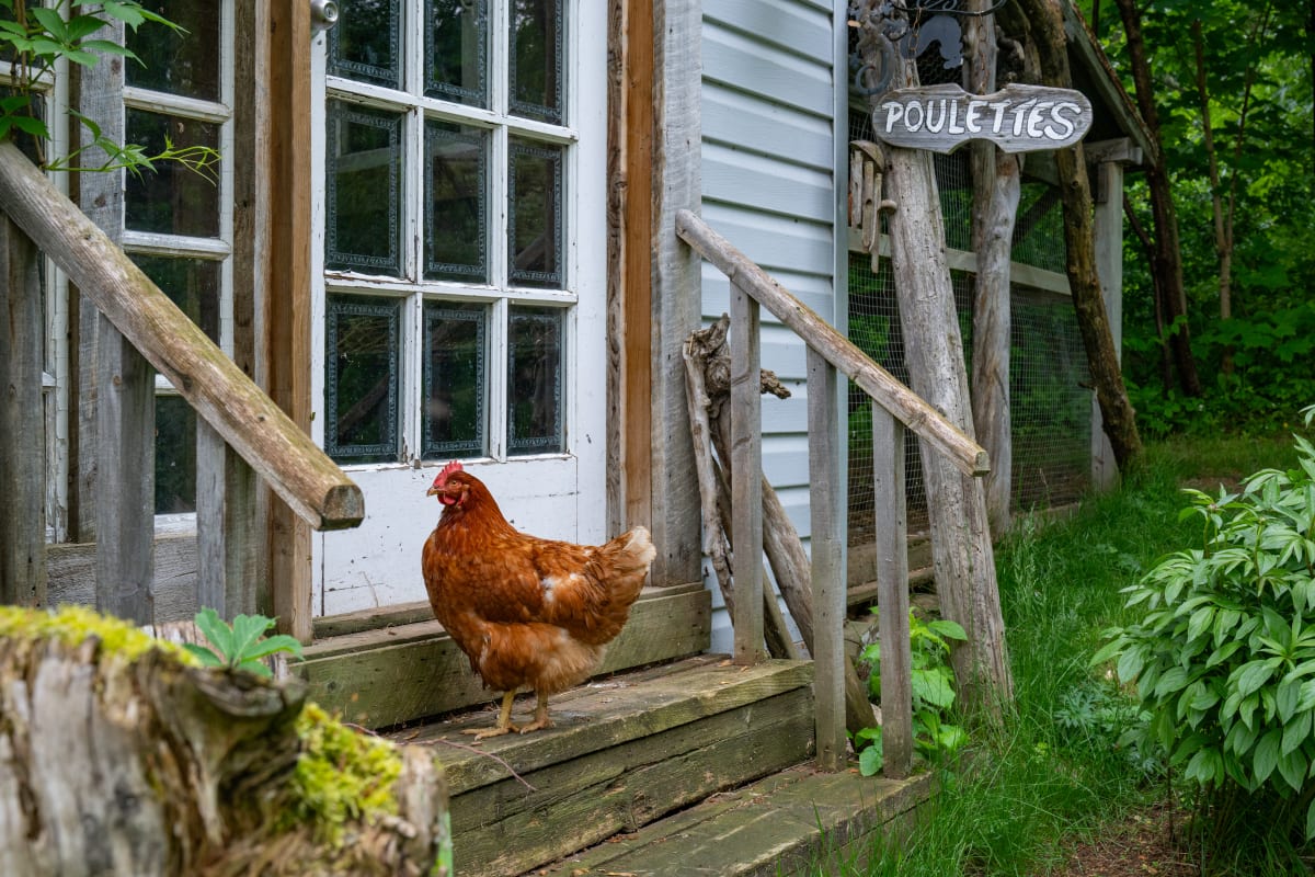Auberge Carpe Diem
