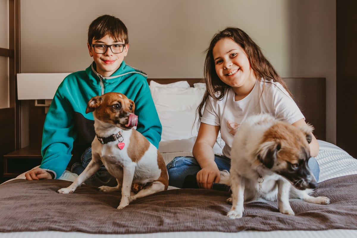 Deux enfants et deux chiens sur un lit du Microtel Inn & Suites Mont-Tremblant.