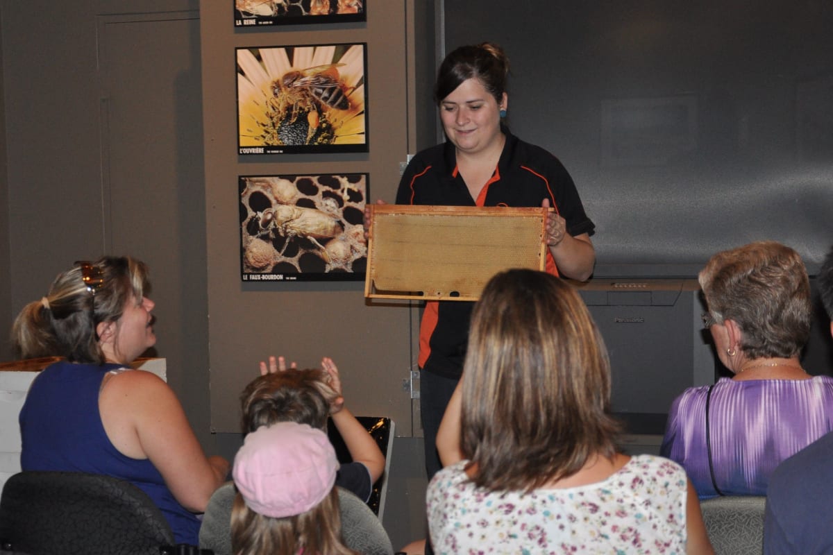 Présentation sur les abeilles à la Miellerie Lune de Miel.