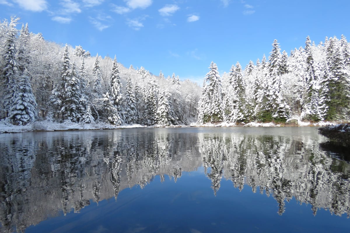 Le Parc national de la Mauricie en hiver.
