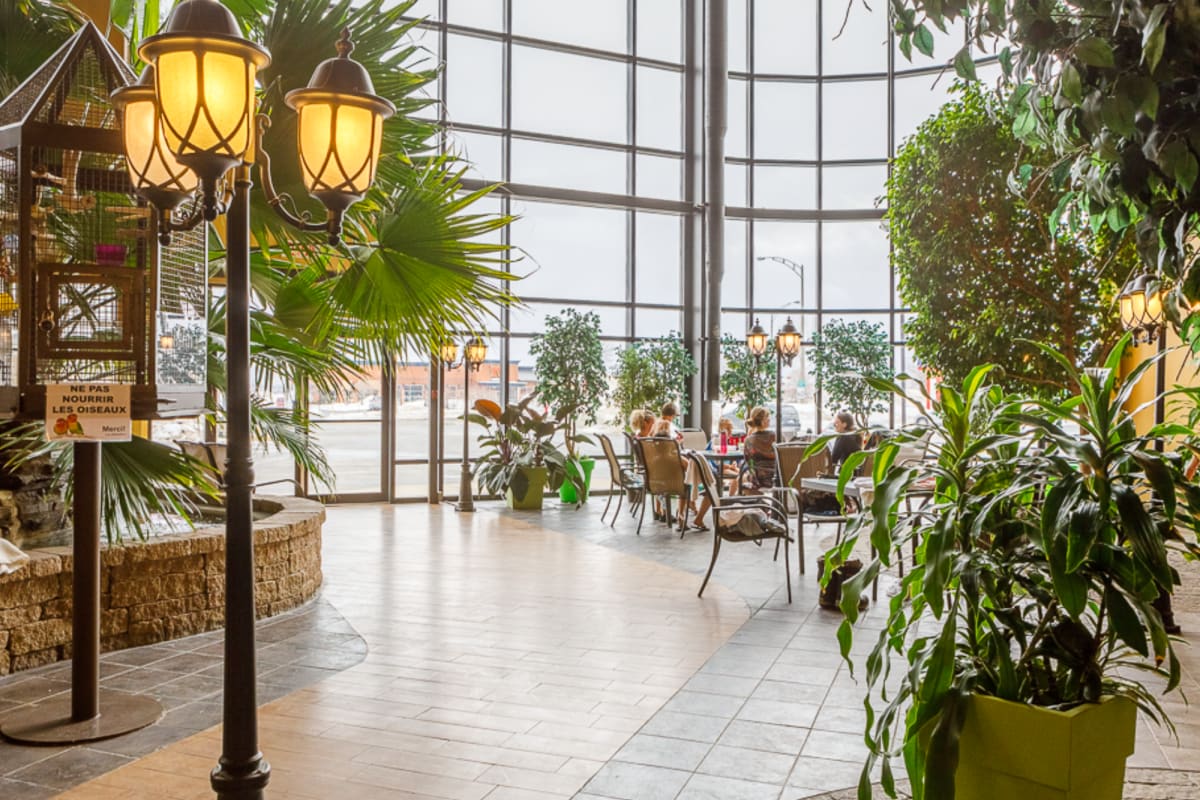 Atrium au décor exotique de l'Hôtel Ambassadeur