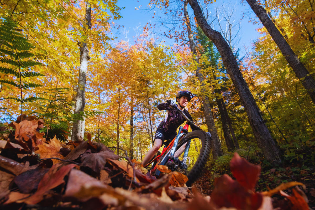 Vélo de montagne en automne au parc régional Montagne du Diablee