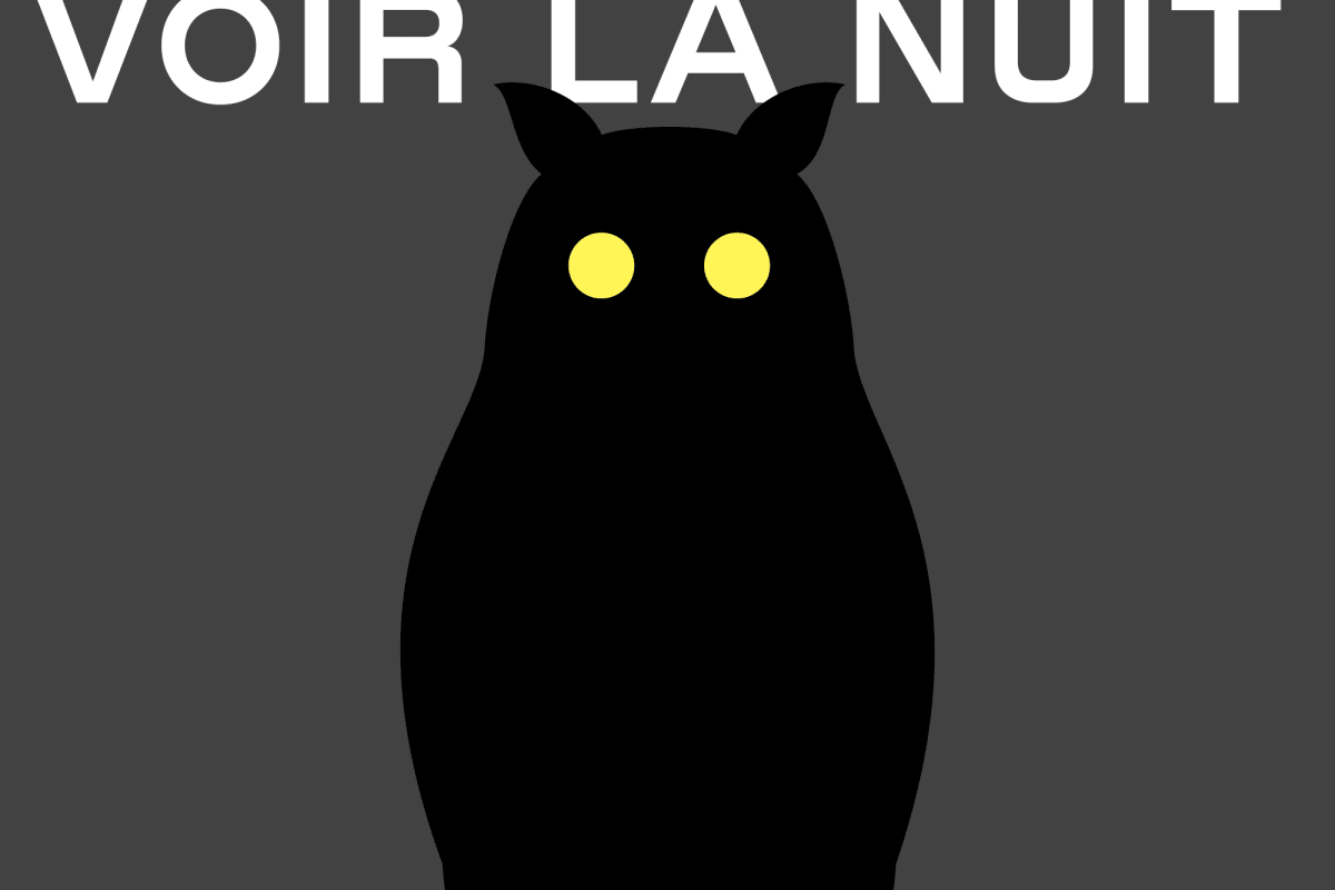 Voir la nuit