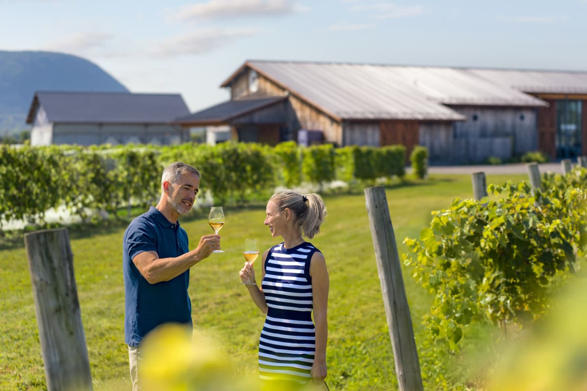 Dégustation de vin sur la route du richelieu