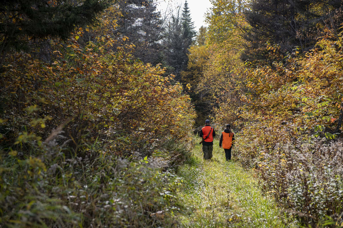 Deux personnes en gilets de chasse orange.