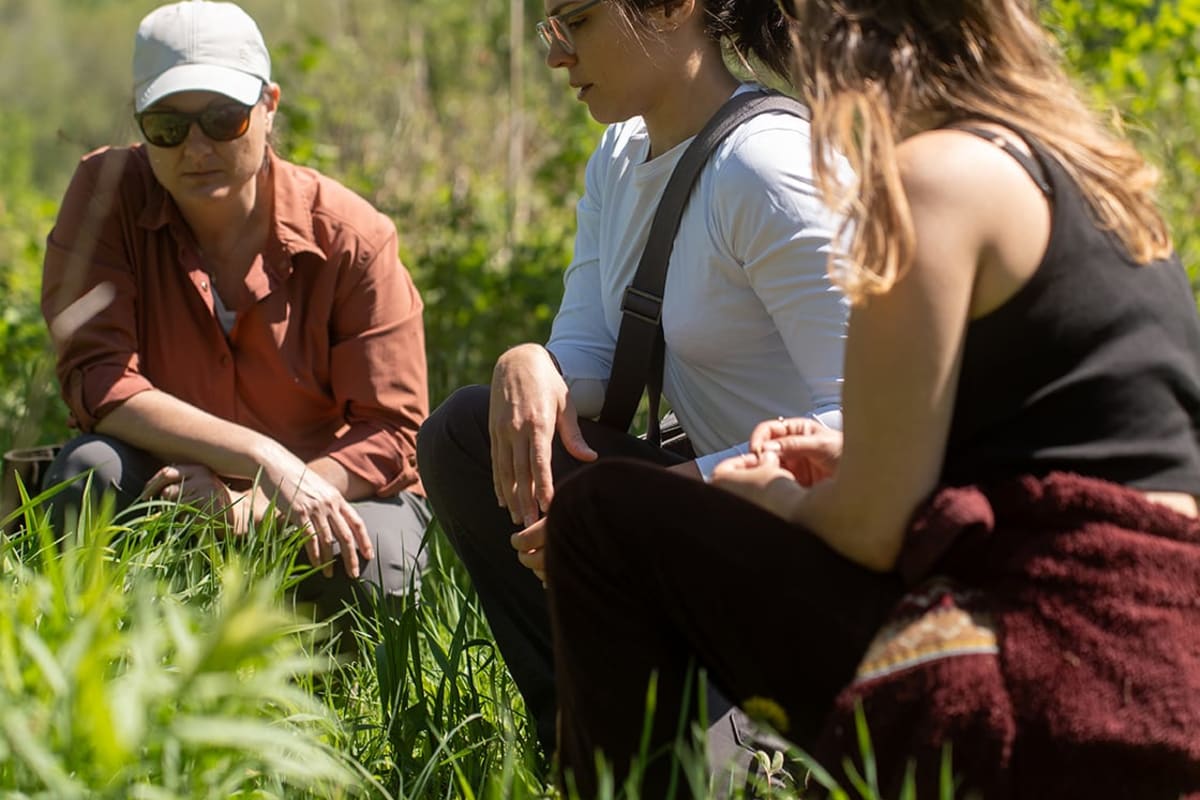 Cœur Sauvage - Three people crouching down to forage for wild plants.