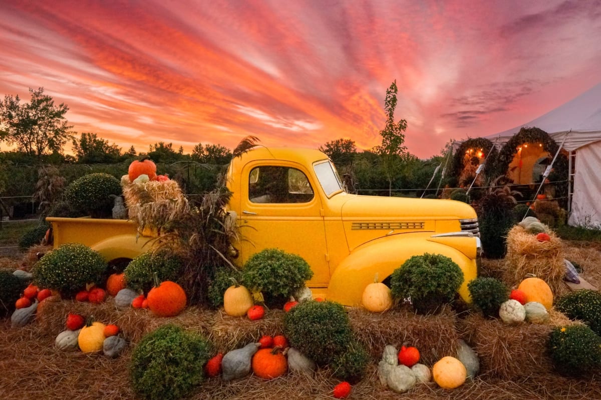Camion à la Ferme Marineau de Laval en automne.