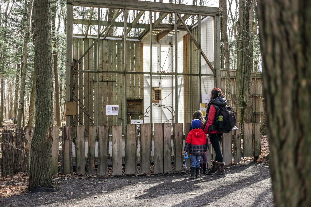Mère et enfant en visite chez Chouette à voir!