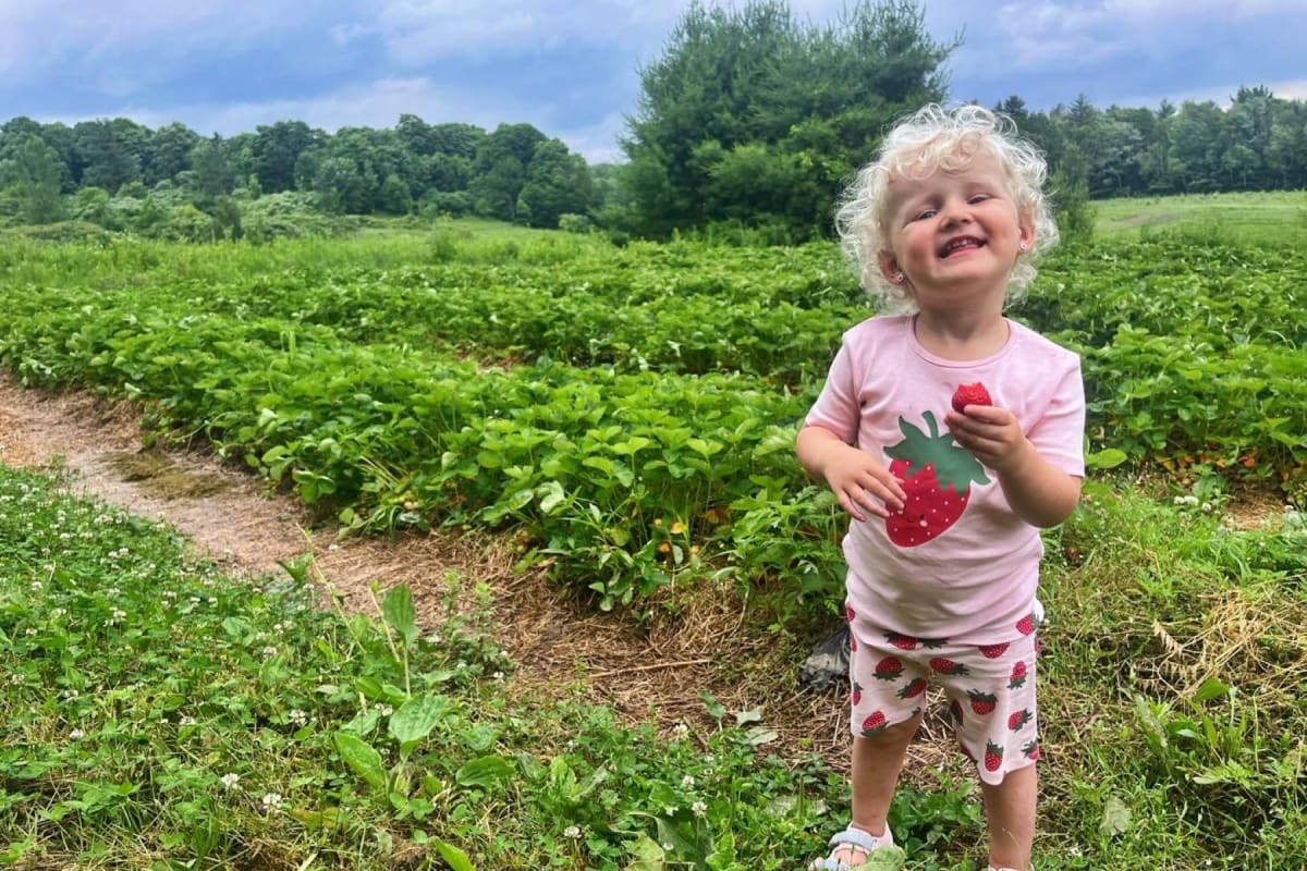 Jeune enfant en vêtements à motif de fraises qui mange une fraise dans un champ.