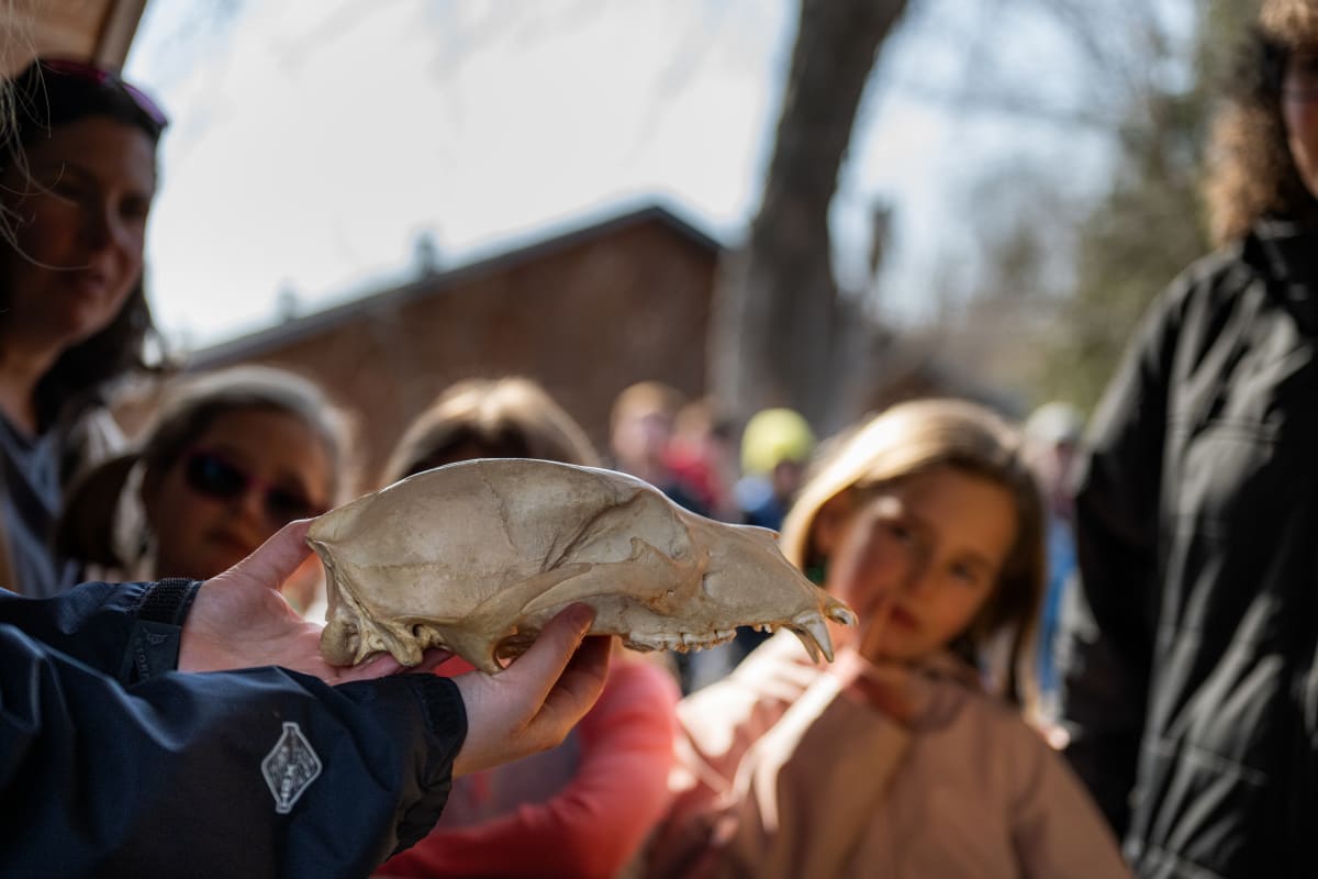 Zoo Ecomuseum