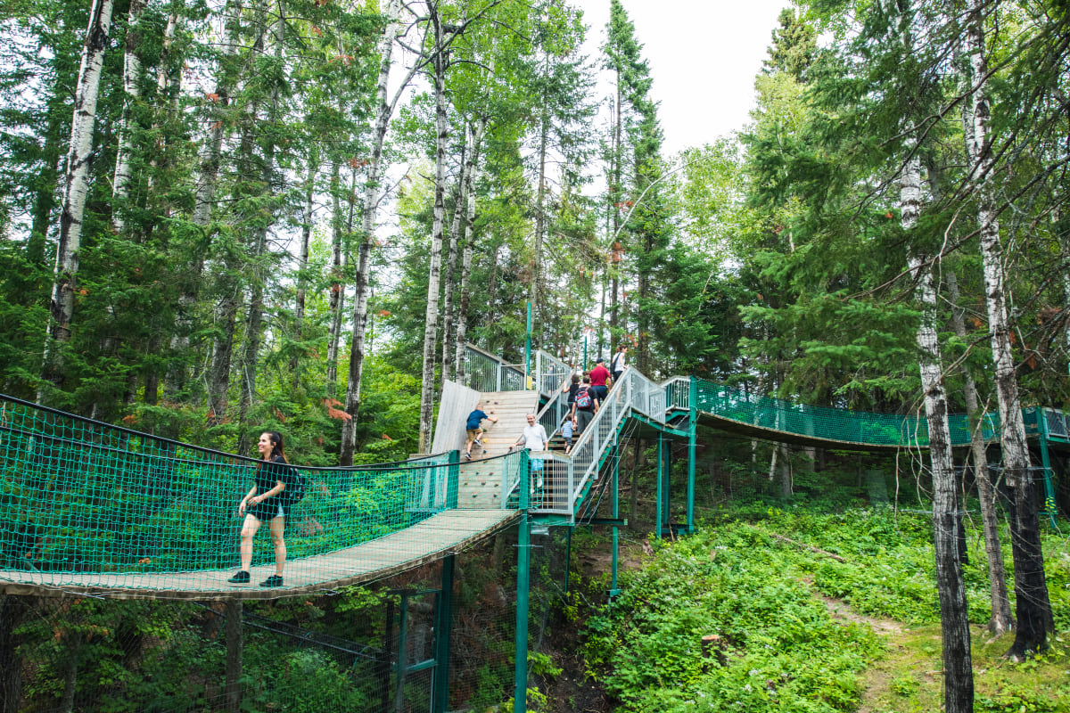 Bridge between trees.