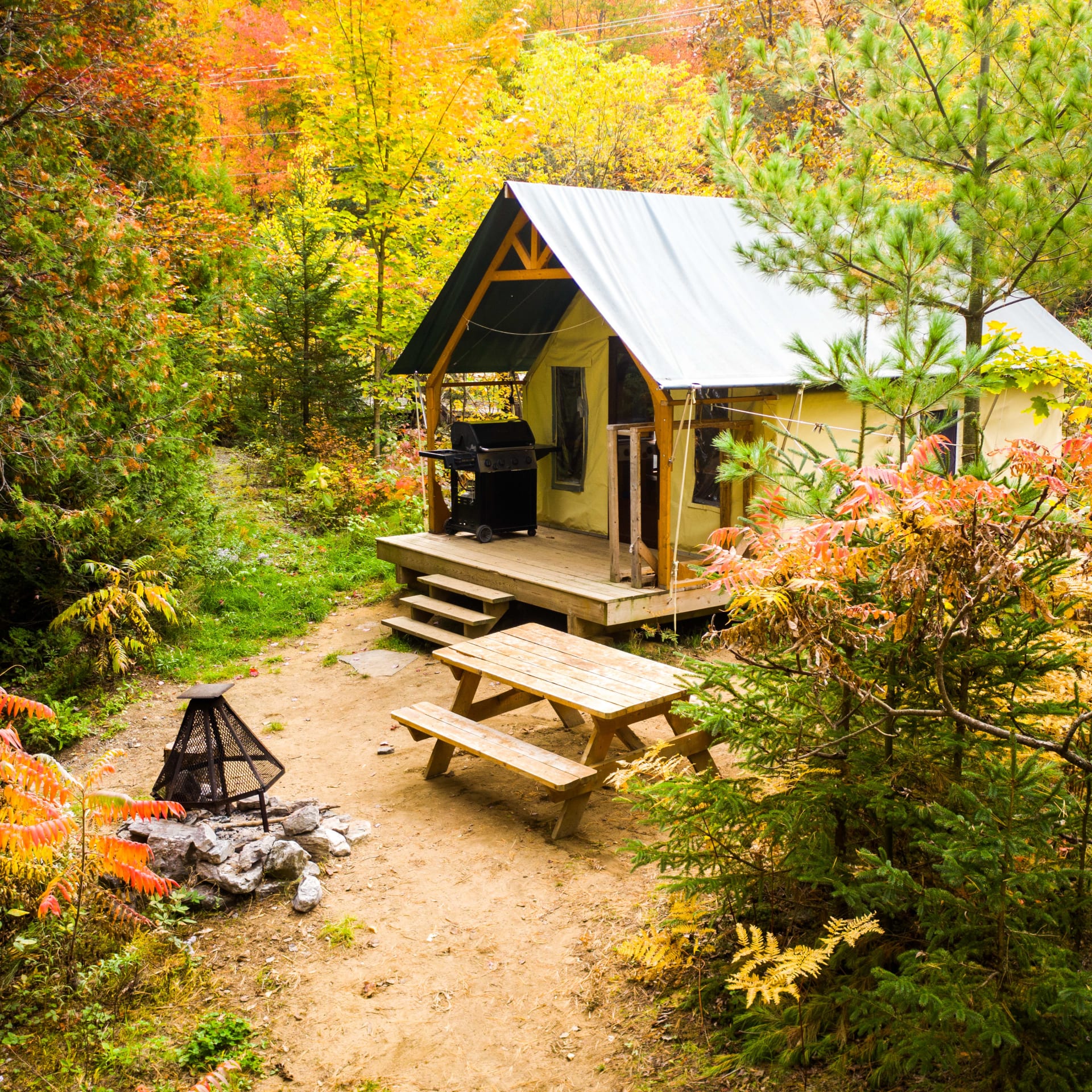 Cabane dans les bois.