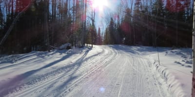 Sentier en hiver à Amiski Club de ski de fond & raquette.