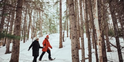 Deux personnes font de la raquette à l'Arboretum de la Presqu’île Croft.