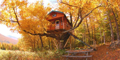 Cabane dans les arbres en automne.