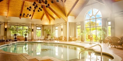 Piscine intérieure lumineuse avec toit en bois.