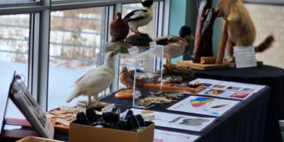 Biophare - Exposition