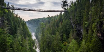 Passerelle suspendue.