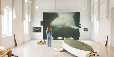Détails de l'expo Dans l'œil du béluga, par Maryse Goudreau au Centre d'art de Kamouraska.