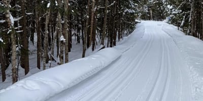 Piste de ski de fond du Centre de ski de fond et raquette d’Estérel.