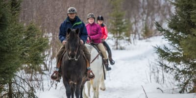 Randonnée équestre hivernale au Centre équestre Mistouk.