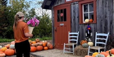 Étalage de courge et citrouilles, Citrouilles & cie.
