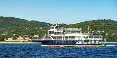 Croisières AML Tadoussac - Croisière aux baleines en bateau d'observation à Tadoussac - Whale Watching Boat Tour in Tadoussac