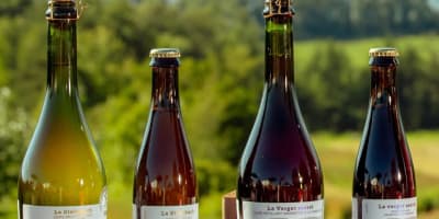 Sélection de cidre du Domaine Steinbach - Cidrerie B&B, Distillerie, en plein cœur de l’Île d’Orléans