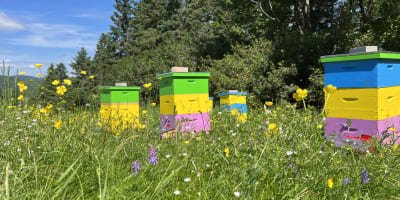 Douceurs des Appalaches: beehive
