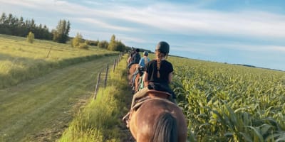Randonnée à cheval à Écuries 1101.