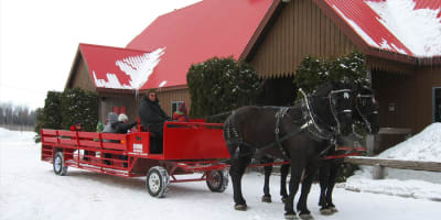 Carrioles à l'Érablière Au Toit Rouge.