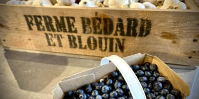 Ail et bleuets, Ferme Bédard et Blouin.