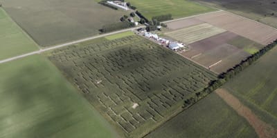 Vue aérienne de la Ferme Guy Rivest