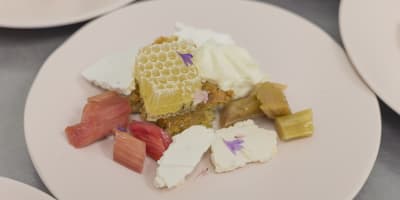 Ferme Les Petites Écores - Assiette gourmande avec, entre autres, un morceau de miel en rayon
