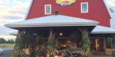 Citrouilles à la Ferme Reid.
