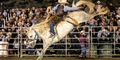 Festival Western Saint-André-Avellin : rodeo