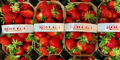 Casseaux de fraises.