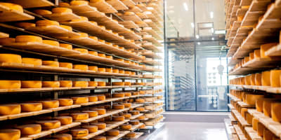 Fromagerie La Station - Shelves filled with cheese.