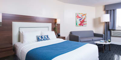 Chambre avec 1 lit et coin salon.