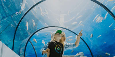 Une mère et son fils regardant des poissons dans un aquarium intérieur.