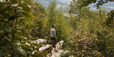 Hôtel-Château Bromont - un homme avec son chien regarde au loin au sommet d'une montagne